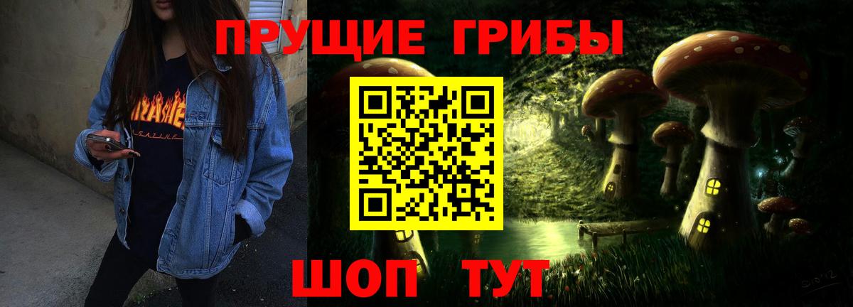 Галлюциногенные грибы Psilocybine cubensis Новомосковск